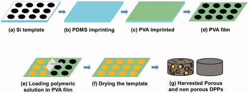 Figure 1. Synthesis of curcumin-loaded porous and non-porous DPPs. (a) Silicon template. (b) PDMS imprinting. (c) PVA imprinting. (d) PVA film. (e) Loading polymeric solution with or without ammonium bicarbonate in PVA film. (f) Drying the template. (g) Harvested porous and non-porous DPPs.
