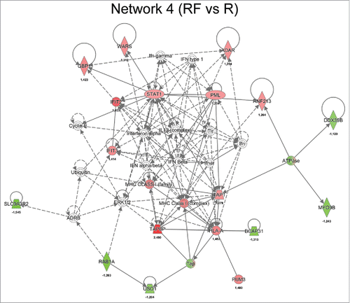 Figure 5. Network analysis obtained from IPA of differentially regulated proteins (p ≤ 0.05) between recurrence (R) and recurrence-free (RF) patients. Official gene symbols and relative expression values (recurrence-free vs. recurrence) for each protein are depicted.