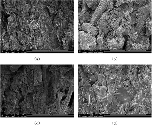 Figure 5. The morphology of tensile cross section of (a) LAC, (b) RAC, (c) BAC, and (d) GAC.