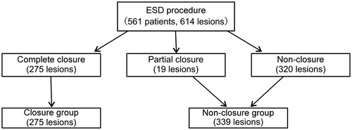 Figure 1. Patient flowchart regarding the wound defect appearance.