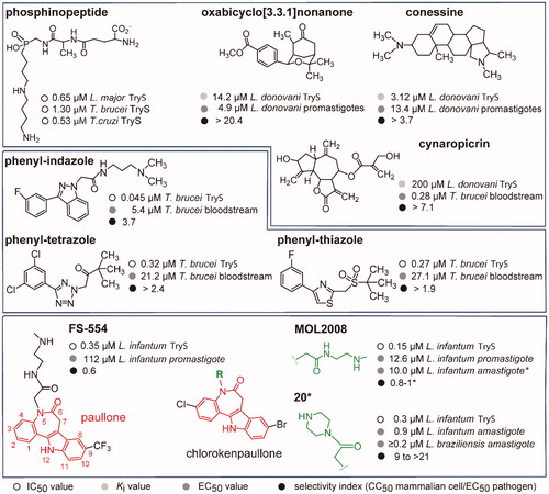 Figure 1. Trypanothione synthetase inhibitors. The structure and biological activities (IC50 against TryS or Ki, EC50 against trypanosomatids and selectivity index) are shown for representatives singletons or scaffolds reported to inhibit TryS. The data shown in the upper box were reported inCitation14 for phosphinopeptides, inCitation19 for oxabicyclo nonanone, inCitation15 for conessine, and inCitation16 for cynaropicrin. Data shown in the middle box was reported inCitation17 for the phenyl-indazole derivative and inCitation18 for the phenyl-tetrazole and -thiazole derivatives. Lower panel, the 7,12-dihydroindolo[3,2-d][1]benzazepin-6(5H)-ones core scaffold, referred as paullone, is shown in red. Incorporation of a Cl and Br atom at position 3 and 9, respectively, give rise to chlorokenpaullone. The asterisk denotes data reported in this work whereas information for FS-554 {9-trifluoromethylpaullone with N-[2-(methylamino)ethyl]acetamide side chain} and MOL2008 {3-chlorokenpaullone with N-[2-(methylamino)ethyl]acetamide side chain} was reported elsewhereCitation10,Citation20. Compound 20 is a 3-chlorokenpaullone with 2-oxo-2-piperazinoethyl side chain as hydrochloride.