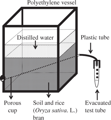 Figure 1. Apparatus used for collecting the soil solution.