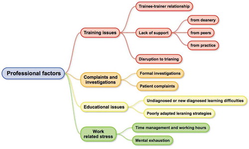 Figure 2. Summary of results: professional factors