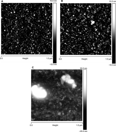 Figure 4 AFM images of glass surfaces: (A) untreated (cleaned) glass surface; (B) surface functionalized with CHX-HMP-0.5; and (C) surface functionalized with CHX-HMP-5.Notes: The horizontal scale is 1 μm and the vertical scale is 15 nm (A and B) or 55 nm (C).Abbreviations: AFM, atomic force microscopy; CHX-HMP-0.5, chlorhexidine hexametaphosphate (0.5 mmol L−1); CHX-HMP-5, chlorhexidine hexametaphosphate (5 mmol L−1).