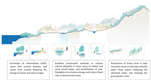 Figure 15. The vertical section proves the potential of integrating constructed wetlands (cws) as nature-based solutions into urban landscapes (coastal, riverine, and desert) to enhance urban resilience and support disaster risk management. Source: Author, adapted from World Bank, 2021. A catalogue of nature-based solutions for urban resilience. Washington, D.C. World Bank Group.