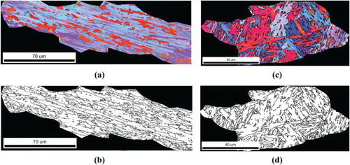 Figure 7. (a) Inverse pole figure map and (b) rotation angles higher than 10 degrees of a typical single PAG taken from the single pulse weld, (c) inverse pole figure map and (d) rotation angles higher than 10 degrees of a typical single PAG taken from the double pulse weld.