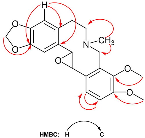 Figure 3. HMBC correlations of the glauciumoline (3).