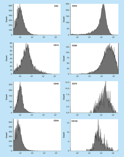 Figure 1. Histograms of the immunophenotype assessed by flow cytometry.Example of one representative culture of mesenchymal stromal cells.