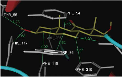 Figure 5.  Docking of metabolite 8β (yellow stick) in the active site of PGE2 9-KR. Hydrogen atoms of the amino acid residues have been removed to improve clarity.
