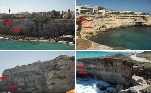 Figure 6. Example of vertical lithological variations along cliffs belonging to the study area.