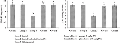 Figure 3. Effect of galangin on liver mitochondrial enzymic antioxidants of STZ-caused hyperglycemic rats. Data are means ± SEM, n = 6. Groups 1 and 2 significantly are not different (a, a) (P < 0.05). Groups 4 and 5 are different significantly compared to group 3 (b vs. ac, a, c, d) (P < 0.05). U* – Enzyme concentration required for 50% inhibition of NBT reduction/min s. U# – µmol of reduced glutathione consumed/min.