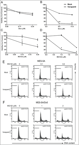 Figure 2. ABCB1 inhibitor resensitizes the multidrug-resistant MES-SA/Dx5 cancer cells to proteasome inhibitor-induced cytotoxicity. (A-B) MES-SA (A) and MES-SA/Dx5 cells (B) were incubated with the indicated concentrations of doxorubicin and 2 μM verapamil for 60 h. (C-D) MES-SA (C) and MES-SA/Dx5 cells (D) were incubated with the indicated concentration of MG132 and 2 μM verapamil for 60 h. At the end of treatment with MG132 or doxorubicin in the presence of the verapamil, cells were harvested for measurement of viability using the MTT assay. (E-F) MES-SA (E) and MES-SA/Dx5 cells (F) were incubated with the indicated concentration of MG132 and 2 μM verapamil for 48 h. At the end of treatment with MG132 in the presence of the verapamil, cells were subjected to cell cycle analysis by FACS after propidium iodide staining, as described in Materials and methods. The sub-G1 population represents apoptotic as well as dead cells. The surviving fractions are expressed as the mean ± SD from 3 independent experiments. *P < 0 .05 and **P < 0 .01 indicate the differences between the ABCB1 inhibitor-treated cells and the respective untreated controls.