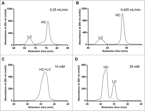 Figure 1. RD-SEC elution profiles as a function of flow rate (A & B) and ionic strength (C & D). Five hundred milligrams of reduced and denatured mAb-1 was injected into 2 Shodex 802.5 columns pre-equilibrated with 8 M urea, 2 mM DTT, and 10 mM HEPES, pH 7.5 and eluted with a flow rate of (A) 0.25 mL/min or (B) 0.425 mL/min. The effect of ionic strength was examined under similar conditions except the buffer was (C) 10 mM and (D) 35 mM sodium acetate, pH 4.5.