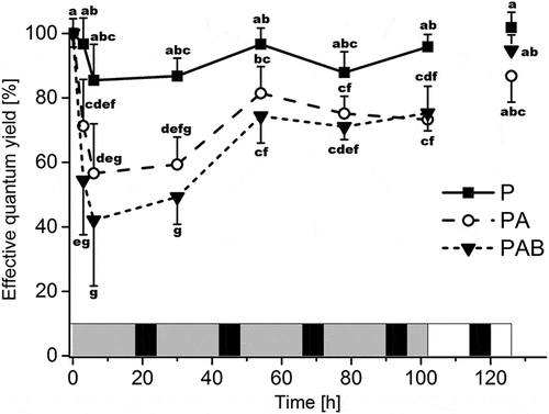 Fig. 3. Changes in effective quantum yield (ΔF/FM’) in Batrachospermum turfosum in response to irradiation. P = PAR; PA = UV-A; PAB = UV-AB. Data points (n = 10, means ± SD) labelled with the same letter do not differ significantly from each other (two-way ANOVA and Bonferroni’s post-hoc test; p ≤ 0.01). Light (18 h) and dark (6 h) phases are indicated by grey and black shading, respectively, for the irradiation treatments, and by white and black shading for the recovery phase.