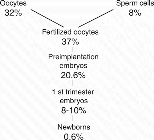 Figure 6.  Incidence of chromosomal aberrations in gametes, zygotes, embryos, and newborns before and during normal pregnancy in humans (from [Plachot et al. Citation1988]).