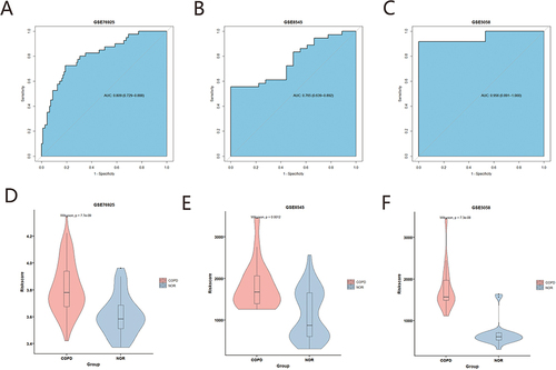 Figure 4 Validation of COPD diagnostic model. (A) GSE76925 ROC analysis of risk score. (B) GSE8545 ROC analysis of risk score. (C) GSE5058 ROC analysis of risk score. (D) GSE76925 violin plots. (E) GSE8545 violin plots. (F) GSE5058 violin plots.