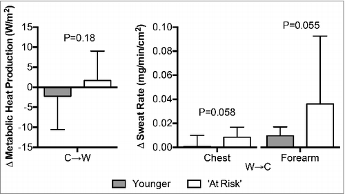 Figure 4. Changes (Δ) in metabolic heat production upon the decision to move from cool-to-warm (C→W), and chest and forearm sweat rate upon the decision to move from warm-to-cool (W→C) in younger adults (n = 12) and ‘at risk’ older adults (n = 6). Mean ± SD, actual p-values are reported.