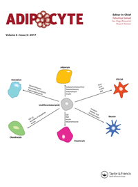 Cover image for Adipocyte, Volume 6, Issue 3, 2017