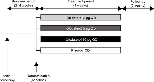 Figure 1 Study design: 4-week, randomized, double-blind, placebo-controlled, parallel-group study.