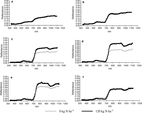 Figure 2.  Spectral reflectance pattern of the crop canopy at different phenological stages for the wheat crop: (a) Crown Root Initiation Stage, (b) Tillering Stage, (c) late Jointing Stage, (d) Maximum Vegetation Stage, (e) Flowering Stage, (f) Dough Stage for different nitrogen levels (only 120 kg N ha−1 and 0 kg N ha−1 are exhibited). The x -axis for all the graphs shows the wavelength in nm. and y-axis reflectance.