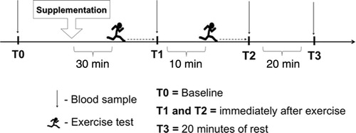 Fig. 1 Overview of experimental design.