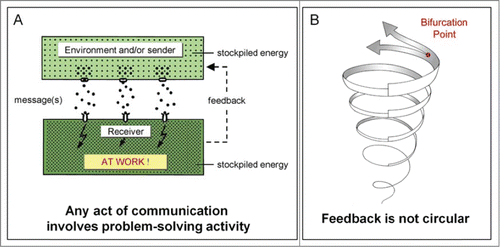Figure 2. (A) Schematic representation of the architecture of a simple communication system. The sender releases a coded message that next is transported through a communication channel (e.g., air, blood, axon etc.) to a competent receiver, meaning that the receptor must have appropriate receptors to catch the message as well sufficient stockpiled energy. If message and receptor match, a signaling cascade is induced involving decoding, amplifying, mobilizing part of the stockpiled energy, and doing some sort of ‘work’ sooner or later. In case of feedback, the receiver becomes a sender. (B) In case of feedback, communication is a unidirectional spiral-like (helical) process. Bifurcation point: more than one solution for a given problem becomes possible.Citation5