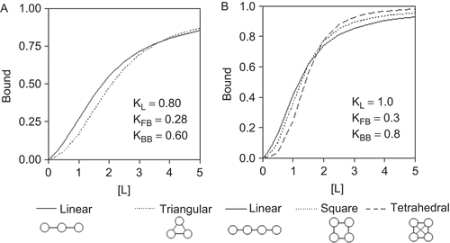 Figure 7.  Examples of saturation curves having the binding and interaction constants indicated and comparing the various interaction geometries (schematically shown at the bottom) of a trimer (A) and a tetramer (B). As illustrated, although the curves were characterized by the same set of constants, they showed a clear-cut dependence on the way the receptor cluster was arranged.