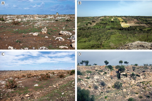 Figure 2. Modern land use and environmental contexts within the project area. A) Sciara di Mazara del Vallo, facing north. B) Mixed agricultural contexts and land fragmentation in the Mazaro River Valley, facing south. C) Soil recovery, a process of bedrock pulverization for rapid creation of arable land, facing west. D) Quarrying and infilling of soil for creation of agricultural surfaces, facing northwest. Photographs: C. Sevara.