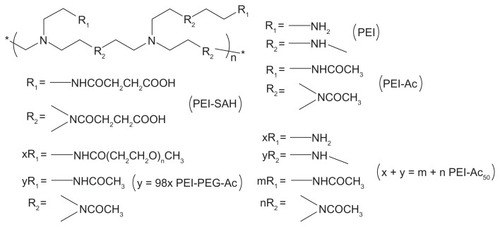 Figure 1 Schematic illustration of the structures of PEI, PEI-SAH, PEI-Ac, PEI-PEG-Ac, and PEI-Ac50.Note: x, y, m, and n represent the number of R1 or R2 groups in different PEI derivatives, respectively.Abbreviations: PEI, polyethyleneimine; PEI-SAH, negatively charged carboxyl-terminated PEI (SAH denotes succinamic acid groups); PEI-Ac, completely acetylated PEI; PEI-PEG-Ac, neutralized PEI modified with both polyethylene glycol and acetyl groups; PEI-Ac50, partially (50%) acetylated PEI.