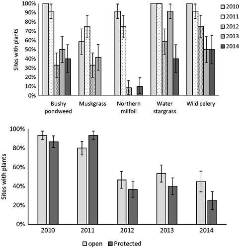 Figure 3. Survival of plant taxa in shallow plots by year (top) and overall survival by protection treatment (bottom).