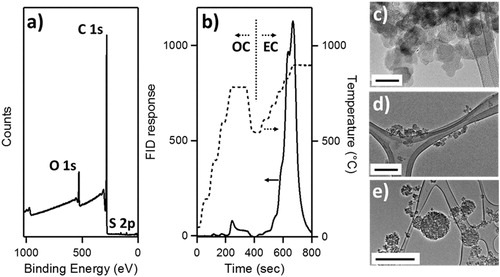 Figure 2. (a) X-ray photoelectron spectrum of a drop-cast CB thin film. Designated photoemission lines shown used for determination of elemental composition. (b) Flame ionization detector (FID) response (solid line) and temperature (dashed line) as a function of time (s) for Dm = 300 nm CB aerosol collected on a quartz filter. Temperature and atmosphere split between organic carbon (OC) and elemental carbon (EC) denoted by vertical dotted line. (c) TEM image of individual CB monomers from drop-cast aqueous suspension, scale bar is 50 nm. (d) aggregates observed from dilute suspension of CB drop-cast onto TEM grid, scale bar is 200 nm. (e) Atomized CB particles electrostatically deposited on lacey carbon grids. Scale bar represents 1 µm.