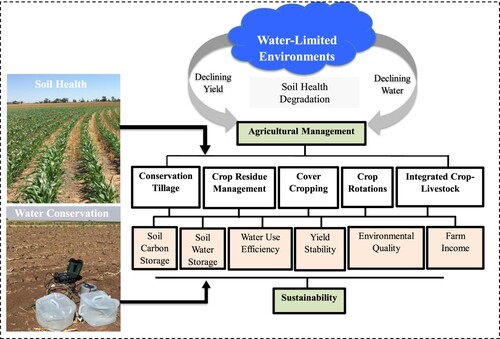 Figure 1. Agricultural management strategies to overcome sustainability challenges in water-limited environments through improved soil health and water management.