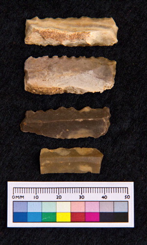 Fig. 3. Chipped stone denticulated blades.