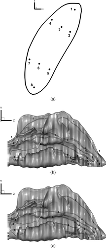 FIG. 5 Stream-traces for breathing rates of 4 and 14 L/min, (a) Injection points on nostril, (b) Stream-traces for 4 L/min, (c) Stream-traces for 14 L/min.