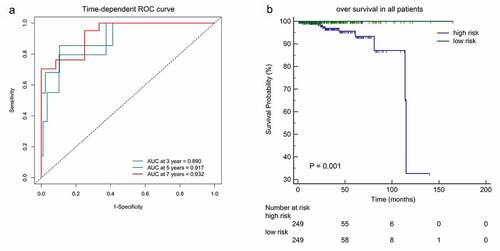 Figure 4. (a)Time-dependent ROC analysis was carried out to estimate the predictive effect for OS at varied follow-up periods.(b) SKaplan–Meier analysis was used to estimate the OS in patients. The patients were divided into high-risk group or low-risk group based on the median cutoff point of risk score