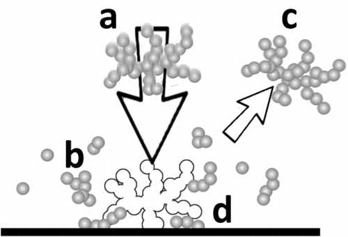 FIG. 2 Schematic of the impaction process. (a) Intact particles; (b) de-agglomerated and bounced particles; (c) bounced and unbroken particles; (d) deposited particles (unbroken or de-agglomerated).