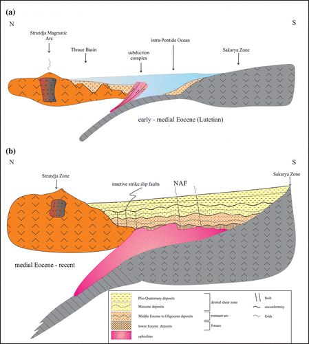 Figure 5. Sketches illustrating the tectono-stratigraphic evolution of the Thrace Basin. (a) In the early to medial Eocene the basin was a forearc basin accumulating the Dışbudak series or its equivalents. (b) During or just before the medial Eocene (Lutetian) the forearc basin closed and turned into a remnant forearc until the Oligocene. At the end of the Oligocene, it was deformed and underwent erosion throughout the early Miocene. From medial Miocene onward it has been integrated with the dextral North Anatolian Shear Zone.