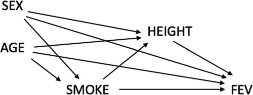 Fig. 6 A causal diagram depicting relationships between variables in this study.