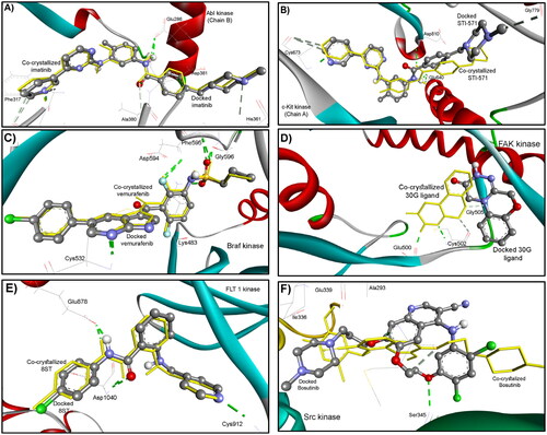 Figure 8. Docking validation of the reproducibility of GOLD 5.2.2. program for redocking of the co-crystalized ligands (ball and sticks coloured by elements) into their corresponding binding sites of (A) ABL (PDB: 2hyy); (B) c-Kit (PDB: 1t46), (C) B-Raf (PDB: 4rzv); (D) FAK (PDB: 4q9s), (E) FLT1 (PDB: 3hng); and (F) SRC (PDB: 4mxo) kinases compared to the native bound ligand (in sticks). The hydrogen bonds are shown in dashed lines.