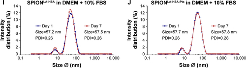 Figure S1 Effect of different solvents on the size of SPIONLA-HSA-Ptx and SPIONLA-HSA.Notes: SPIONLA-HSA-Ptx and SPIONLA-HSA were diluted in (A, B) H2O, (C, D) RPMI, (E, F) RPMI + 10% FBS, (G, H) DMEM, and (I, J) DMEM + 10% FBS. Z-average and PDI were analyzed on day 1 after preparation and after 7 days of storage at 4°C by DLS, and the results are depicted in representative graphs. The strong increase in the PDI in samples containing 10% FBS is obviously the result of the additional FBS signal at 7.3 nm.Abbreviations: DLS, dynamic light scattering; DMEM, Dulbecco’s Modified Eagle’s Medium; PDI, polydispersity index; Ptx, paclitaxel; SPION, superparamagnetic iron oxide nanoparticles; SPIONLA-HSA, lauric acid- and human serum albumin-coated SPIONs; SPIONLA-HSA-Ptx, SPIONLA-HSA functionalized with paclitaxel; RPMI, Roswell Park Memorial Institute; Z-average, intensity-weighted harmonic mean size.