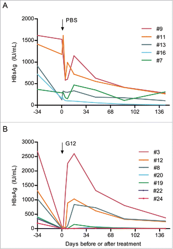 Figure 5. Effect of PBS and G12 treatment on serum HBsAg titers in lineage 59 HBV transgenic mice. (A) Sequential serum HBsAg titers in 5 mice receiving intraperitoneal injection of PBS. (B) Sequential serum HBsAg titers in 7 mice receiving intraperitoneal injection of 600 IU of G12.