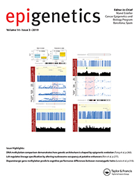 Cover image for Epigenetics, Volume 14, Issue 3, 2019