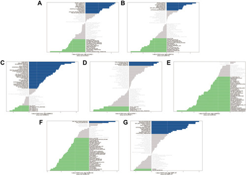 Figure 5 GSVA enrichment analysis of seven prognosis-related lncRNAs. (A) AL512422.1. (B) AL008718.3. (C) AC006033.2. (D) AL357507.1. (E) AL360182.2. (F) C5orf66-AS1. (G) CEBPA-DT.