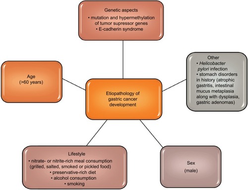 Figure 1 Etiopathology of gastric cancer development. Citation5–Citation11