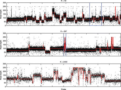Figure 1 Whole genome DNA copy number analysis. Segmentation of the observed sequencing read depth along the genome can be used to identify changes in the underlying DNA copy number. (Top) Broad level changes can be adequately captured using a relatively small number of segments but if we zoom in on the labeled region (blue) higher resolution segmentations (middle/bottom) can require thousands of segments.