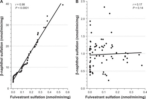 Figure 2 Correlation between fulvestrant sulfation and β-naphthol sulfation.