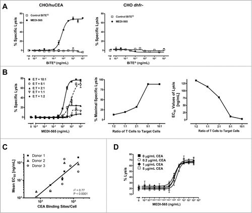 Figure 2. Factors that influence MEDI-565-induced T cell killing of target cells: CEA expression on target cells, the presence of soluble CEA and effector:target ratios. (A) Activity of MEDI-565 (•) or control BiTE® antibody (□) to induce T cell killing of CEA positive CHO cells (CHO/huCEA) and CEA negative parental CHO cells (CHO dhfr-). (B) Effect of the indicated effector-to-target cell ratio on MEDI-565-induced T cell killing of CHO/huCEA cells over a range of MEDI-565 concentrations. In addition, the relationship between the maximum specific lysis and the EC50 values of lysis achieved in cytotoxicity assays are graphed versus E:T ratios. (C) Correlation (r2 = 0.77) of the estimated number of CEA binding sites for MEDI-565 on the surface of tumor cell lines with the potency (EC50 values) of redirected T cell lysis. The measured number of CEA molecules per cell for each of 6 tumor cell lines (ASPC-1, BxPC3, HPAC, HPAF II, H727 and LS174T) was plotted against the respective EC50 values of the percentage of tumor cells lysed from 3 individual donor T cells. P and r2 of the linear regression curve are listed on the graph. r2, coefficient of determination, calculated from Pearson's correlation coefficient (r). (D) Effect of the indicated concentrations of soluble CEA on MEDI-565 induced T cell killing of CHO/huCEA cells during a 72 hour assay. Data in the figure show representative results for assays using T cells from 3 different donors. All target cells were cultured for 72 hours with unstimulated human CD3+ T cells at an E:T ratio of 10:1 or as indicated in the figure. Error bars show the SEM in panels A, B and D.