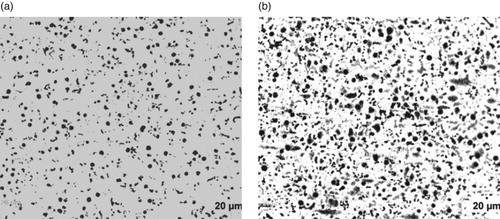 Figure 4. (a) Un-etched optical micrograph of 2.29% Al-ductile iron at 20 μm mag. (b) Etched optical micrograph of 2.29% Al-ductile iron at 20 μm mag. (2% Nital for 12 s).