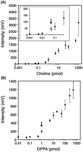 Fig. 2. Detection limits of choline and PA with 9-AA matrix by MALDI-QIT-TOF/MS.Notes: Standard curves for determining choline (A) and PA (B) from 1 fmol to 1 nmol with 9-AA matrix (20 mg/mL). The detection limits are defined as signal-to-noise ratio of 3:1. Each point represents the mean ± SD of triplicate measurements.