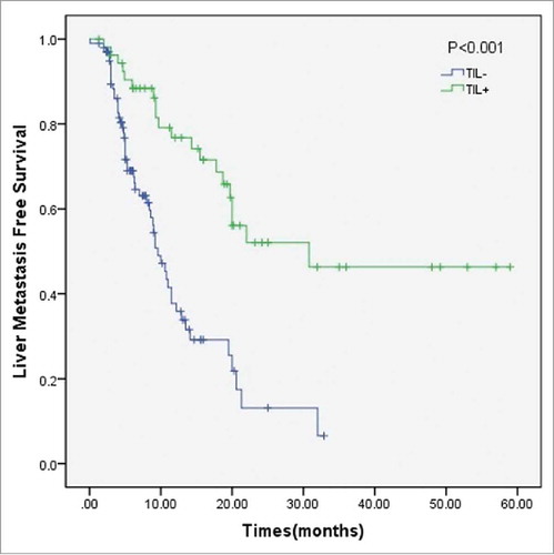 Figure 3. Plot of the liver metastasis-free survival for all patients stratified according to TIL groups. Abbreviations: TIL = tumor-infiltrating lymphocyte.